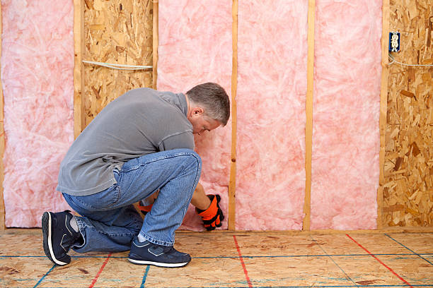 Best Blown-In Insulation  in Huntsville, AL